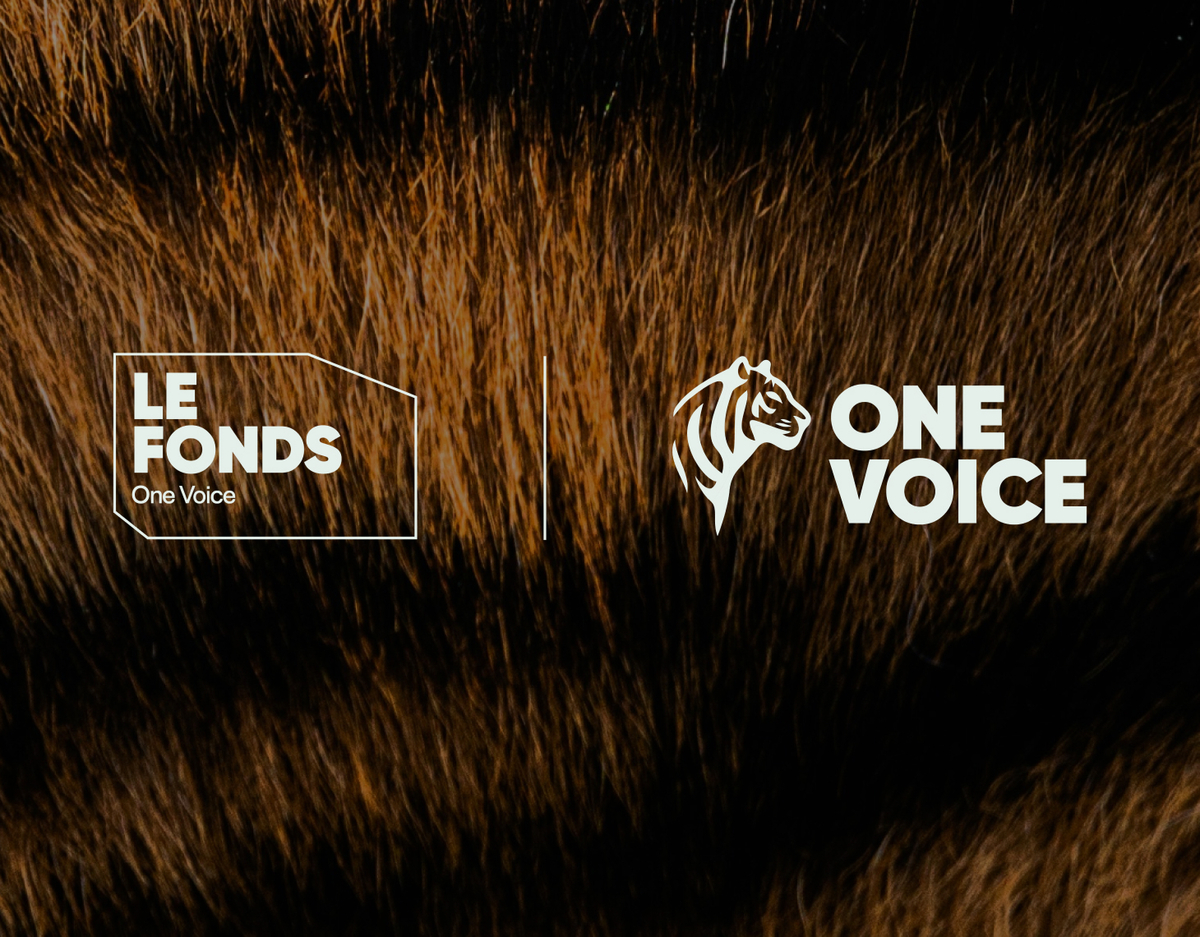 Le Fonds de dotation One Voice