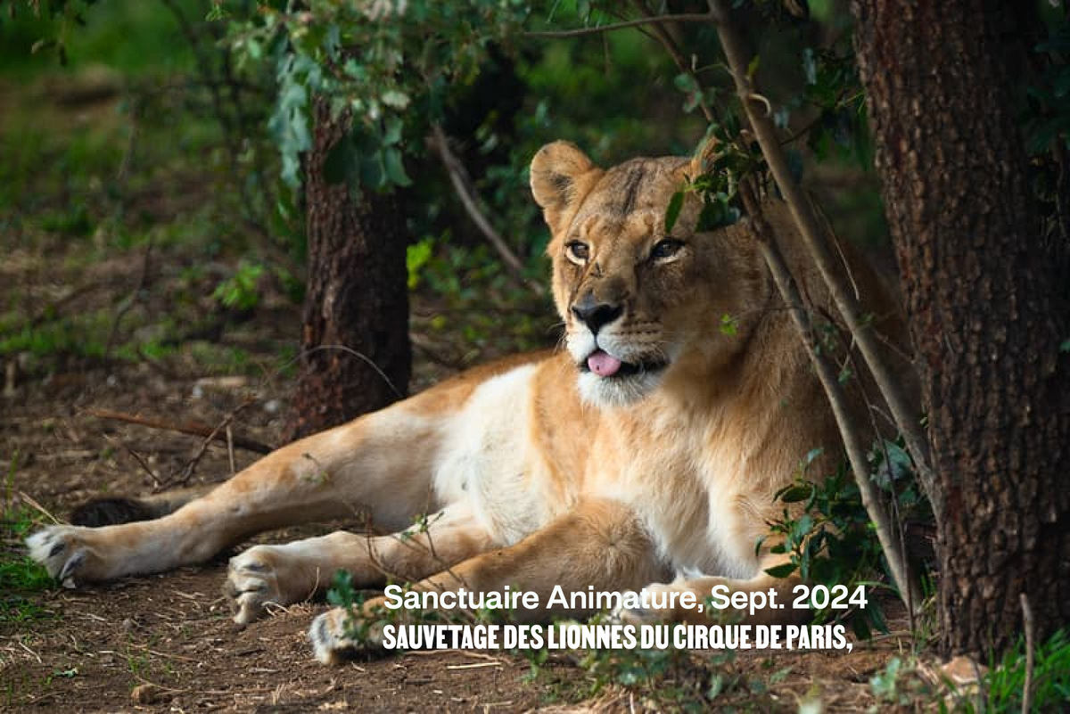 Un soutien à l'échelle mondiale.